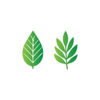 green leaf icon white background vector