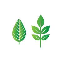 green leaf icon white background vector