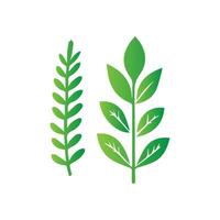 green leaf icon white background vector