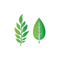 green leaf icon white background vector
