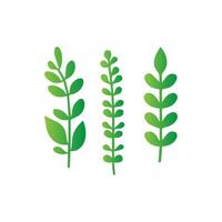 green leaf icon white background vector