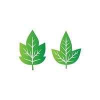 green leaf icon white background vector