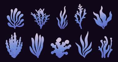 Set of fantasy seaweed illustrations with a gradient design. Cute algae and coral. Underwater elements. Perfect for marine-themed designs, scrapbooking, print. vector