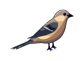 Cute finch perching on branch, yellow feathers icon vector