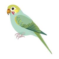 Colorful parakeet perching on green branch isolated icon isolated vector