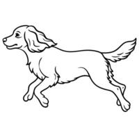 English Pointer dog runs icon vector