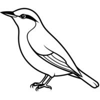 Eurasian Nuthatch bird sits icon vector