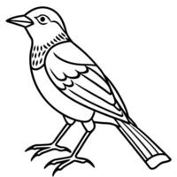 European Starling bird reading icon vector