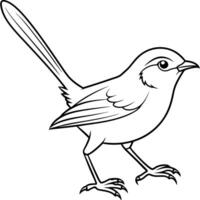 Fairy-Wren bird walks icon vector