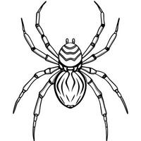 False Widow Spider stands icon vector