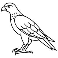 Ferruginous Hawk bird walks icon vector