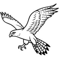 Ferruginous Hawk bird flies icon vector