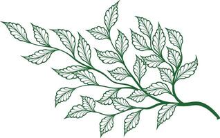 Green leaf Branch complex Design vector