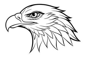 Elegant eagle head line art illustration design, perfect for prints and digital use. vector