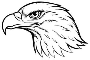 Elegant eagle head line art illustration design, perfect for prints and digital use. vector