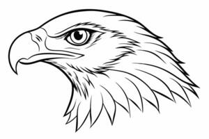 Elegant eagle head line art illustration design, perfect for prints and digital use. vector