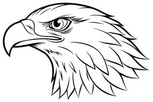 Elegant eagle head line art illustration design, perfect for prints and digital use. vector