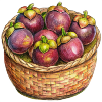 Mangosteens in Wicker Basket Hand Drawn Image png