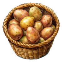 Potatoes in A Wicker Basket Item png