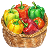 Bell Peppers in A Wicker Basket Hand Drawn Image png