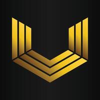 luxury black background with abstract golden geometric hexagon shape vector