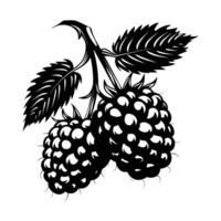Graphic illustration for two grape juices vector