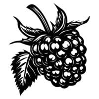 Graphic illustration for grape juice vector