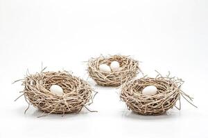 Three Bird Nests With Eggs on White Background photo