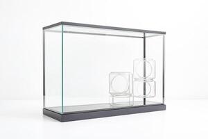 Glass Cube Display Case with Black Frame photo