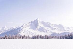 Snow-covered mountain range with a forest in the foreground photo