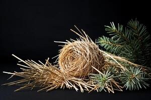 Nest, Hay, and Pine Needles on a Black Background photo