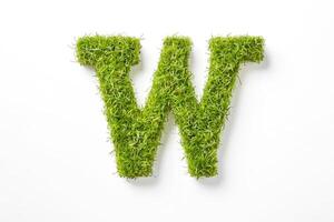 Grass Letter W photo