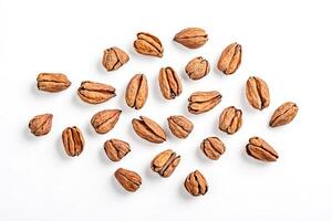 Dried Pecan Shells Isolated on White Background photo