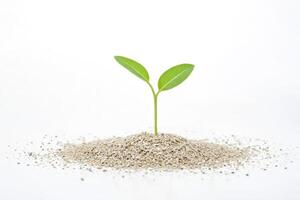 Tiny green sprout growing from a pile of seeds photo