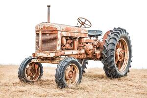 Rusty Old Tractor in a Field photo