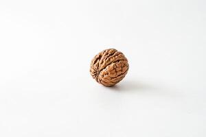 Walnut Shell Isolated on White Background photo