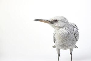 Closeup of a White Bird with a Long Beak photo