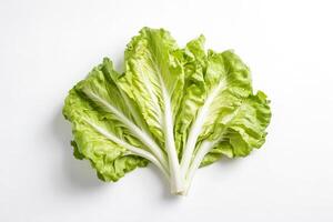 Fresco verde bok choy en blanco antecedentes foto