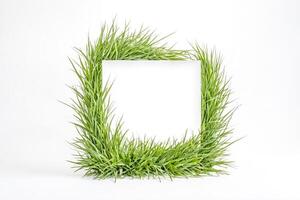 Blank Card Surrounded by Green Grass photo