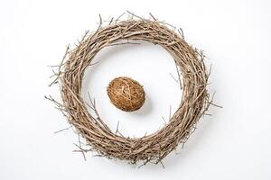 Natural twig wreath with a woven egg in the center photo