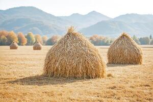 Hay Bales in a Field with Mountains in the Background photo