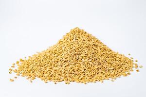 Close Up of Paddy Seeds on White Background photo