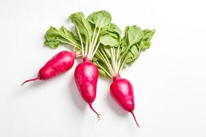 Fresco rojo rábanos con verde tapas aislado en blanco antecedentes foto