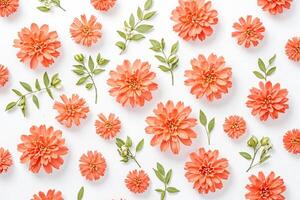 Flat lay of peach dahlias and green leaves on a white background photo