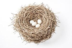 Bird's Nest with Three Eggs photo