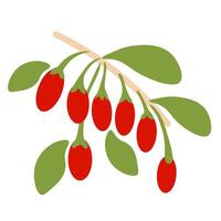 isolated fruit in shape flat style vector