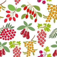 seamless fruits pattern vector