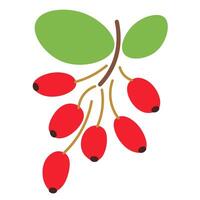 isolated fruit in shape flat style vector