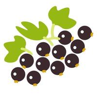 isolated fruit in shape flat style vector