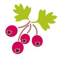 isolated fruit in shape flat style vector